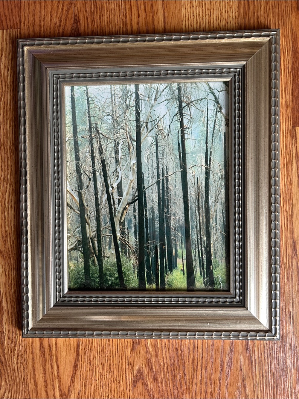 Lot of 3 Landscape Outdoor Framed Prints Woodland Water Snow Cap Mountains - Picture 2 of 12